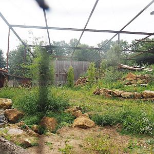 Reconstructed Taiga aviary, 2022-08-20