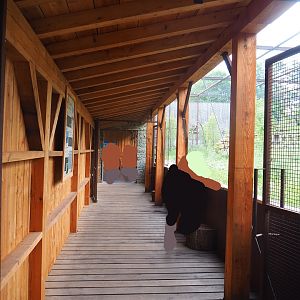 Reconstructed Taiga aviary - Interior of main viewing shelter, 2022-08-20