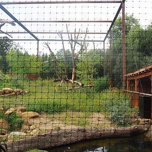 Reconstructed Taiga aviary, 2022-08-20