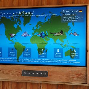 Interactive screen with migratory bird information, 2022-08-20