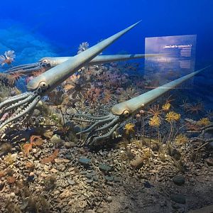 Milwaukee Public Museum - Third Planet - Orthocerida Diorama
