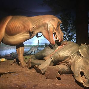 Milwaukee Public Museum - Third Planet - Tyrannosaurus Rex eating Triceratops Diorama