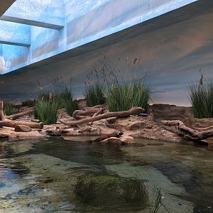 Bird House- Delaware Bay Exhibit
