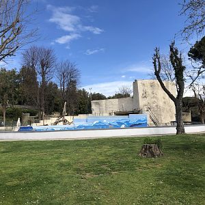 Common Seal, Japanese Macaque & European Brown Bear Enclosures