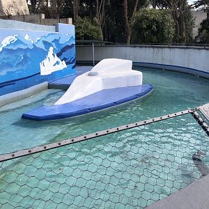 Common Seal Enclosure