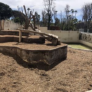 Japanese Macaque Enclosure