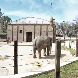 Asiatic Elephant Enclosure & House