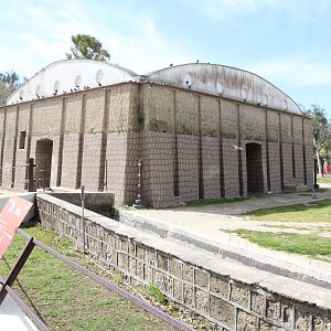 Asiatic Elephant House