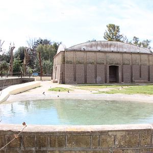Asiatic Elephant Enclosure & House
