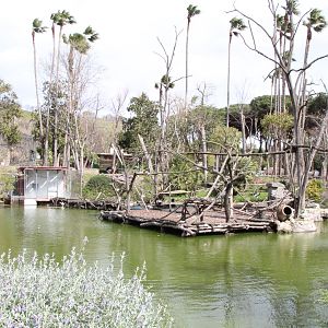 Ring-tailed Lemur Enclosure