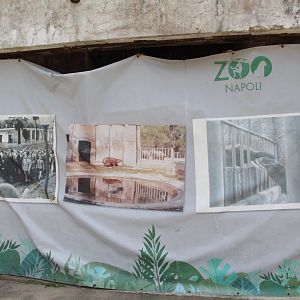 Historical Display On Old Tiger House