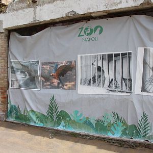 Historical Display On Old Tiger House