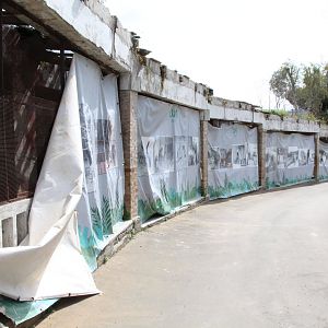 Historical Display On Old Tiger House