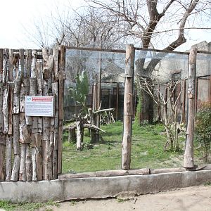 Fossa Enclosure