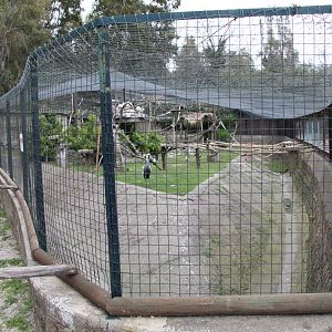 De Brazza Monkey & Crane Enclosure