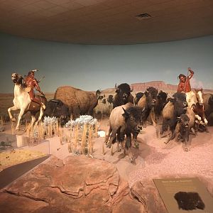 Milwaukee Public Museum - Tribute to Survival - Buffalo Hunt Diorama