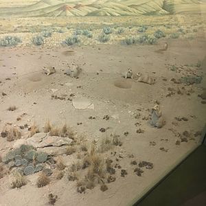 Milwaukee Public Museum - Tribute to Survival - Prairie Dogs in Pronghorn Diorama