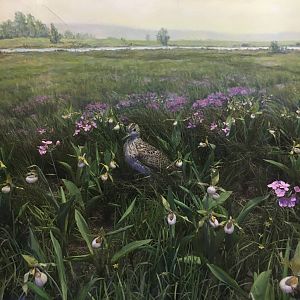 Milwaukee Public Museum - Tribute to Survival - Bird Species ID?