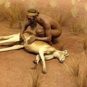 Milwaukee Public Museum - Oceania - Australia Diorama