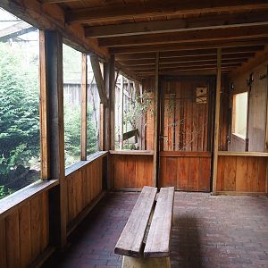 Sun conure aviary viewing area, 2022-08-20