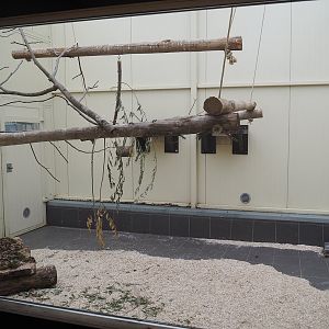 Alien species aviary indoor housing, 2022-08-20