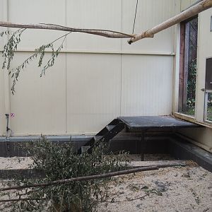 Alien species aviary indoor housing, 2022-08-20