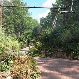 Alien species aviary, 2022-08-20