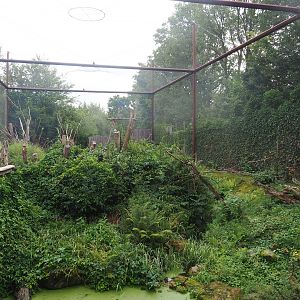 Alien species aviary, 2022-08-20