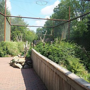 Alien species aviary, 2022-08-20