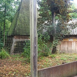 Former Eurasian eagle owl/Raven/Black stork aviary - Area to be added to the wolf exhibit, 2022-08-20