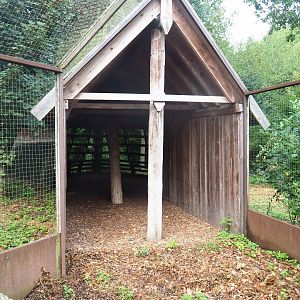 Viewing area former Eurasian eagle owl/Raven/Black stork aviary - Area to be added to the wolf exhibit, 2022-08-20