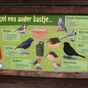 Native bird nests signage, 2022-08-20