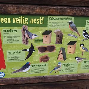 Native bird nests signage, 2022-08-20