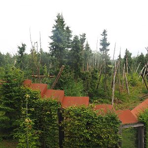 Barbary macaque exhibit seen from the walkway above the now former gift shop, 2022-08-20