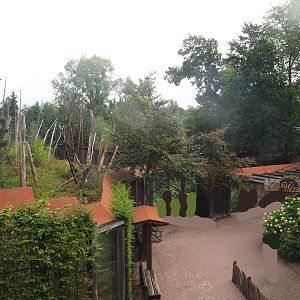 Barbary macaque viewing area seen from the walkway above the now former gift shop, 2022-08-20