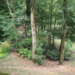 European wolverine exhibit, 2022-08-20