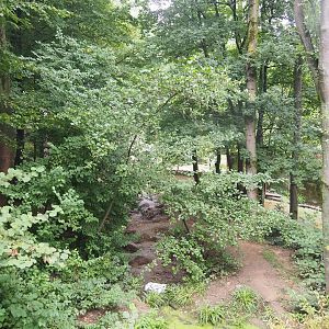 European wolverine exhibit, 2022-08-20