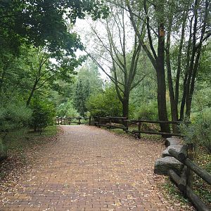 Walkway in the Taiga area, between the wolverine and reindeer exhibits, 2022-08-20
