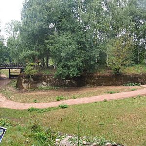 Corridor between the two parts of the Eurasian forest reindeer exhibits, 2022-08-20