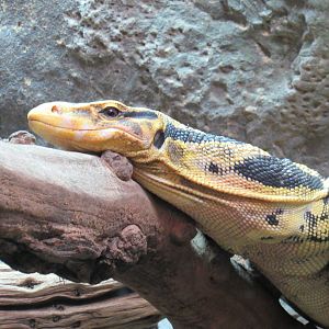 Mindanao Water Monitor