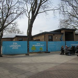 Under Construction - The Secret Life of Reptiles and Amphibians