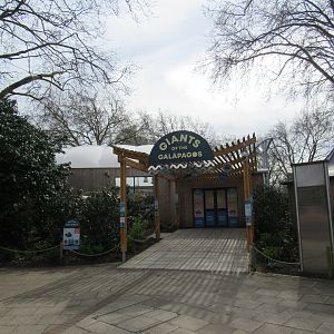 Giants of the Galapagos