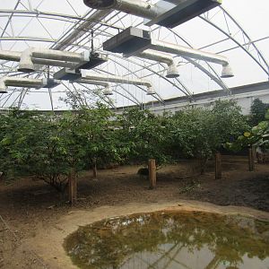 Giants of the Galapagos