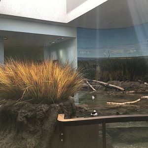 Bird House- Prairie Pothole Exhibit