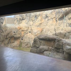 Empty bear pool - Yard 1