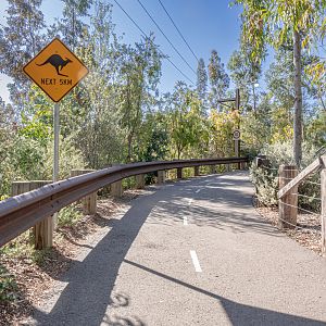 Walkabout Australia: Kangaroo Crossing