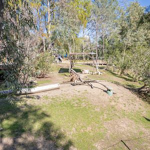 Walkabout Australia: Marsupial Walkway second viewing