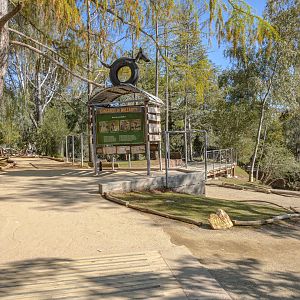 Walkabout Australia: Marsupial Walkway
