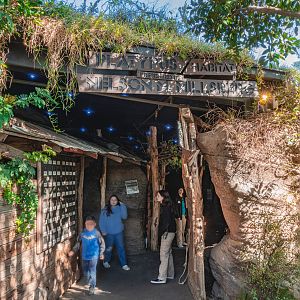 Walkabout Australia: Platypus Habitat