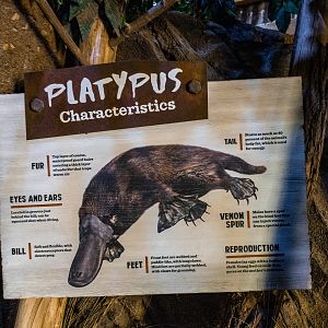 Walkabout Australia: Platypus Signage